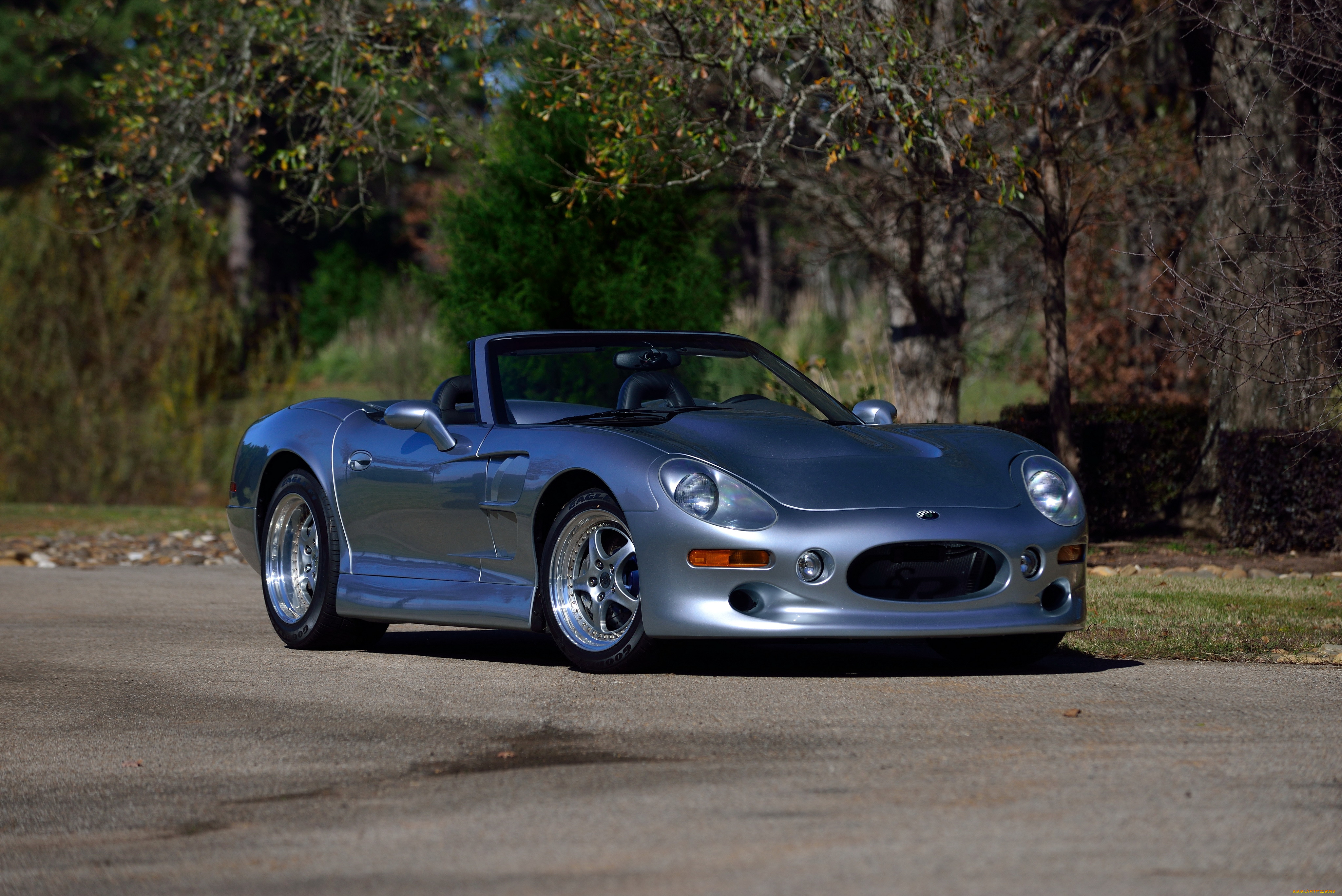 , ac cobra, shelby